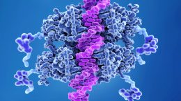 p53 Tumor Suppressor Protein Bound to DNA