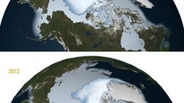 perennial sea ice has declined from 1980 to 2012