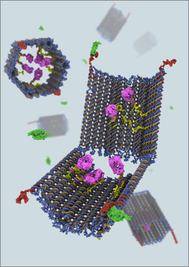 programmable DNA nanorobot