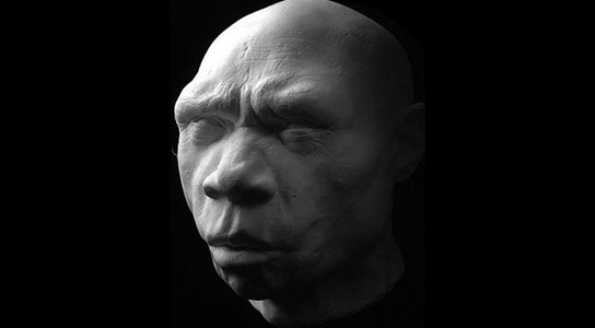 reconstruction-homo-heidelbergensis
