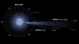 simulated galaxies ASKAP surveys WALLABY and DINGO