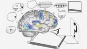 spaun-brain-simulation