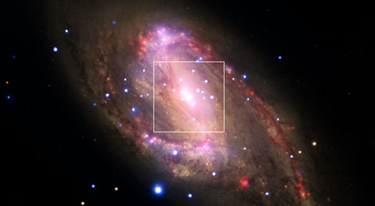 spiral galaxy NGC 3627