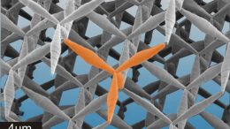 stable four-leg structure is the basic element of the pentamode metamaterial