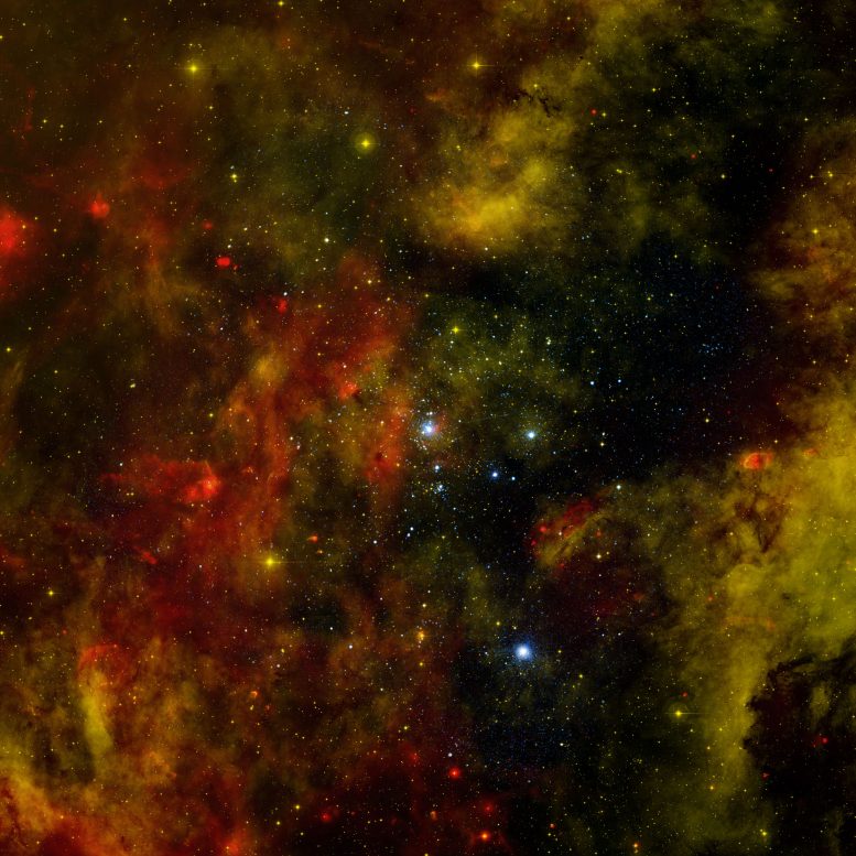 star cluster Cygnus OB2