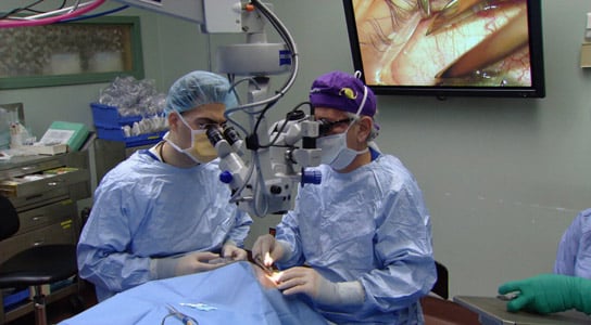 Doctors at Toronto Western Hospital preform a stem cell transplant to help a patient regain their sight. Credit: CTV News