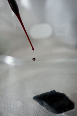 superhydrophobic carbon nanotube sponge