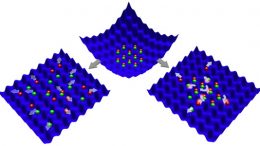 system of fermionic atoms in an optical lattice