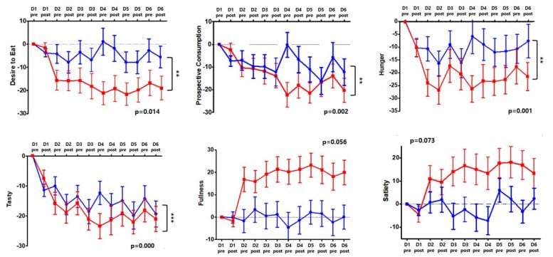 tRNS Treatment and Control Groups