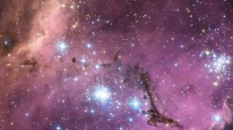 The Large Magellanic Cloud a Satellite Galaxy of the Milky Way