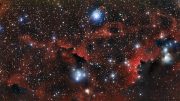 The Seagull Nebula Known More Formally as IC 2177