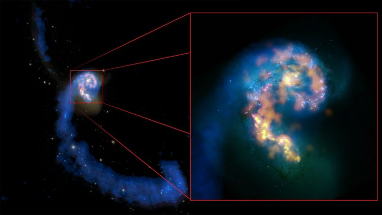 the first scientific observing cycle with ALMA