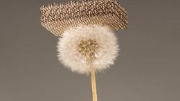 Lightest Material on Earth