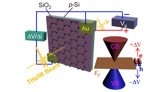 voltage applied to a sheet of graphene on a silicon-based substrate can turn it into a shutter for both terahertz and infrared wavelengths of light
