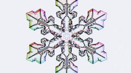 water-crystallises-with-a-six-fold-symmetry