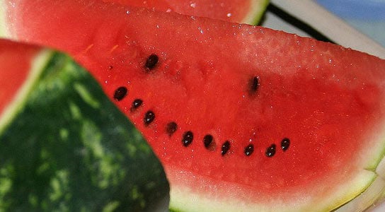 watermelon-happiness