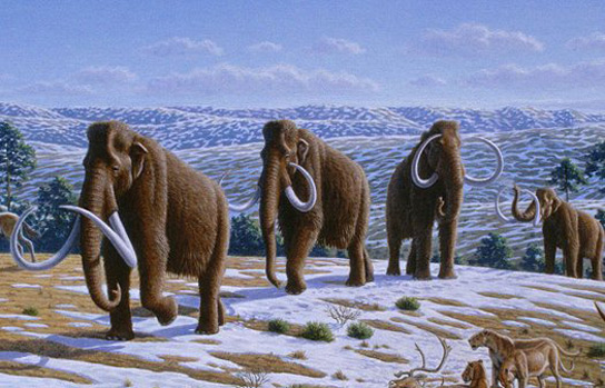 wholly-mammoths-wikipedia