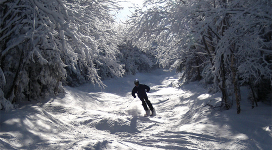 winter-skiing