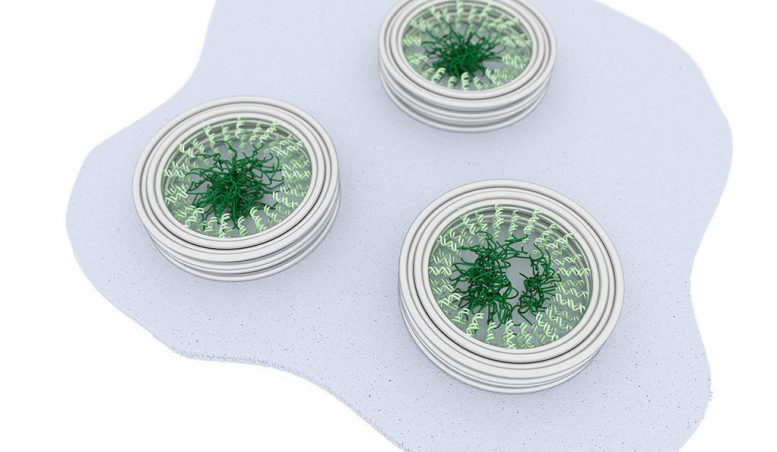 “DNA-Origami” Allows Researchers to Study Minute Protein Interactions