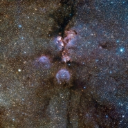 The Cat’s Paw Nebula