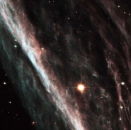 Supernova Shock Wave Paints Cosmic Portrait