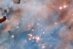 Bok Globule in the Carina Nebula