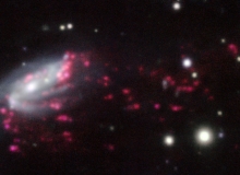 Example of a jellyfish galaxy